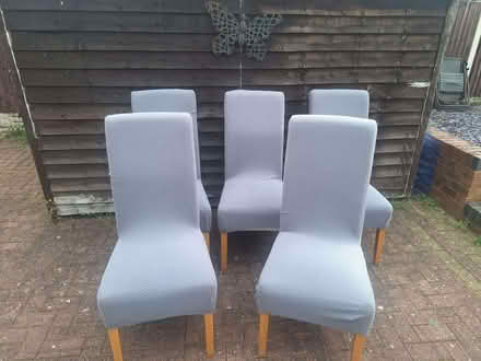 Photo of free Dining room chairs (Chaddesden DE21) #1