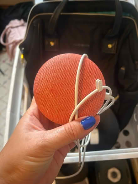 Photo of free Google Nest Mini (Lakeview East) #1