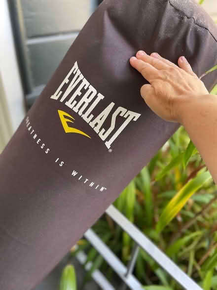 Photo of free Everlast punching bag (San Leandro) #1