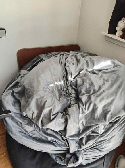 Photo of free Bean Bag chair/cover (Cupertino City Hall) #1