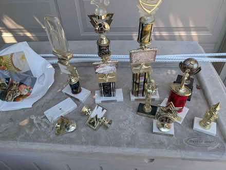 Photo of free Trophies (Matthews Beach) #1