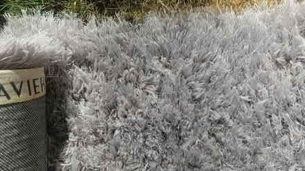 Photo of free Rug (Maple Leaf) #1