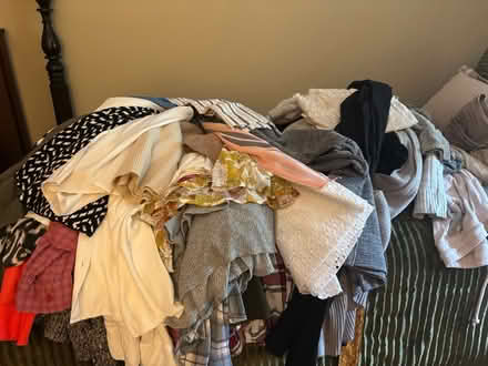 Photo of free Women’s Clothes (Burke) #2