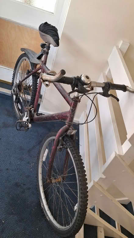 Photo of free Adult Bicycle (BD8) #3