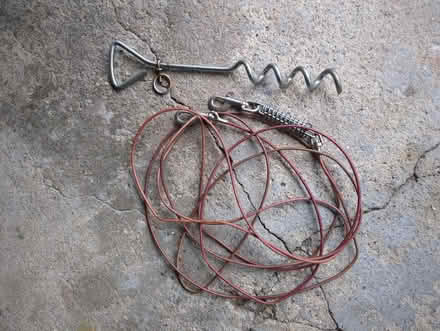 Photo of free Dog leash and post (Worcester, 01606) #1