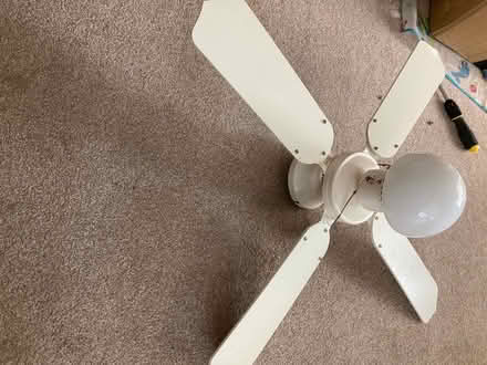 Photo of free Ceiling fan with light (South Didcot OX11) #1