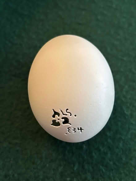 Photo of free Delicate carved egg (Willow Glen) #2