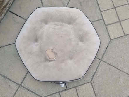 Photo of free Dog bed (Whitley CV3) #1