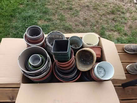 Photo of free Plastic plant pots assorted sizes (BS4) #1