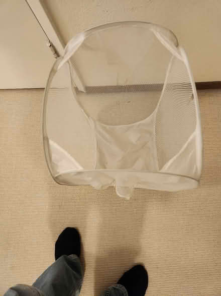 Photo of free Folding mesh laundry basket (Wedgwood, Seattle, WA, US) #2