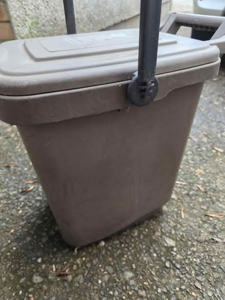 Photo of free Food caddy ( Cardiff ) (Cyncoed, CF23) #3