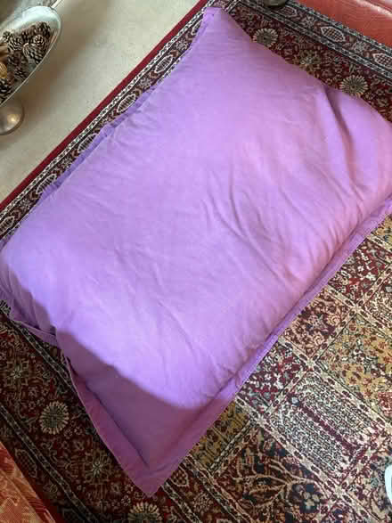 Photo of free Purple Bean Bag (Warminster BA12) #1