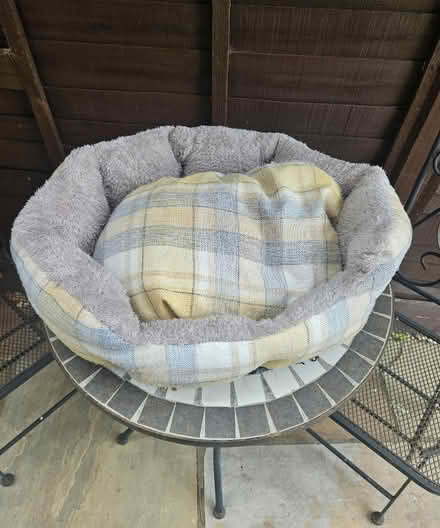 Photo of free Dog Bed small (Gloucester) #1