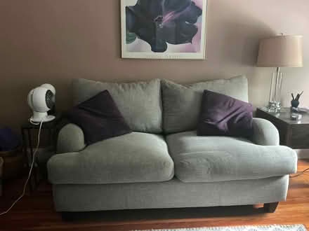 Photo of free love seat (Mt. Washington Baltimore) #1