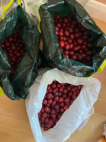 Photo of free MORE Cherry plum 4 Fruit Jam Crumbl (St Albans AL1) #2