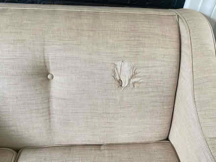 Photo of free gentle used Loveseat & Sofa (South Arlington, Va) #2