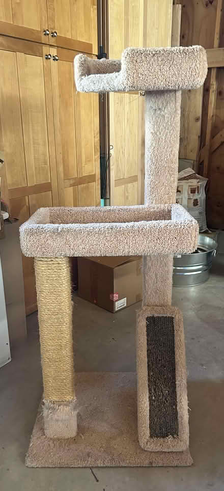Photo of free Cat Tower (Saint Paul) #1
