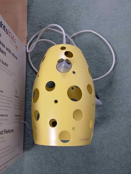 Photo of free Cute mouse ceiling light perfect for a nursery room (Fords Farm RG31) #1