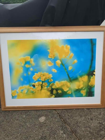 Photo of free Large picture (Harpenden AL5) #1