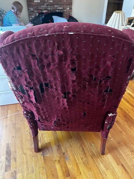 Photo of free wing back chair (La mesa) #3