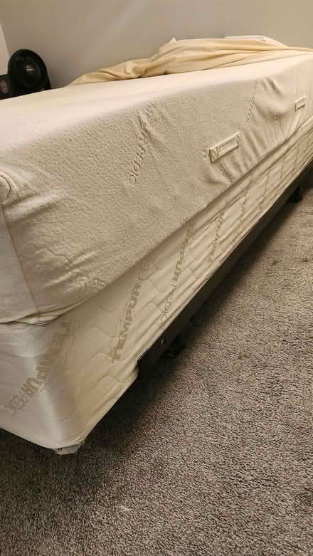 Photo of free Tempur-Pedic Queen Mattress Set (Downtown New Rochelle) #1