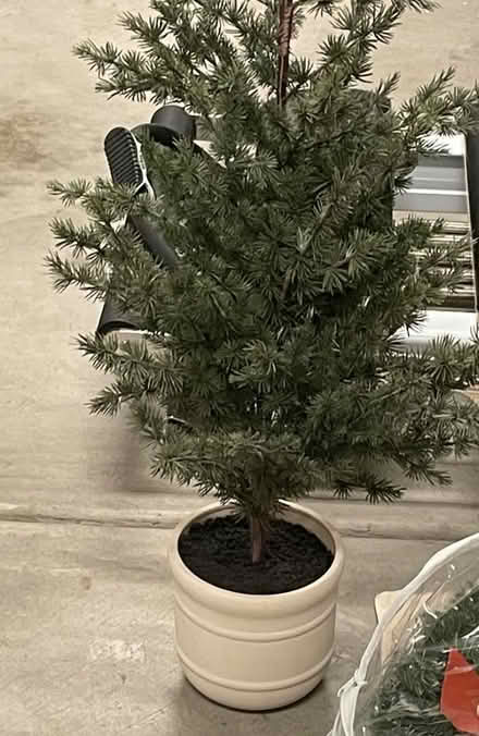 Photo of free Christmas decorations (Irvine Spectrum) #1