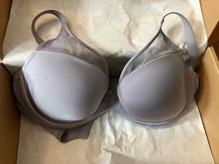Photo of free Brand new 36C bra (Arlington/West Medford line) #1