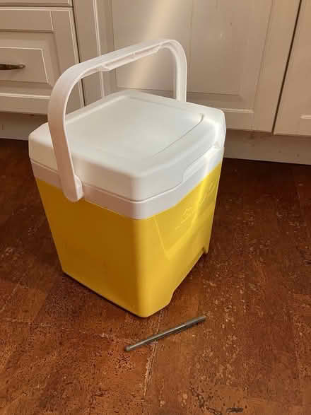 Photo of free Small igloo cooler (Arlington/West Medford line) #1