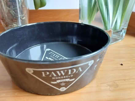 Photo of free Dogs Food Bowl (North Tonbridge TN10) #2