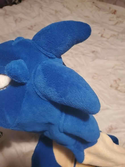 Photo of free Sonic costume (East, close to NE) #2