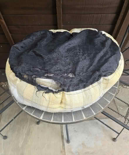 Photo of free Dog Bed small (Gloucester) #2
