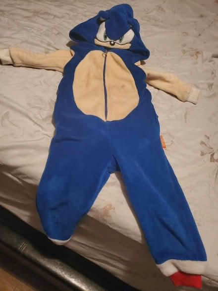 Photo of free Sonic costume (East, close to NE) #1