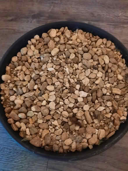 Photo of free Decorative river rocks (Decatur/Toco Hills) #2