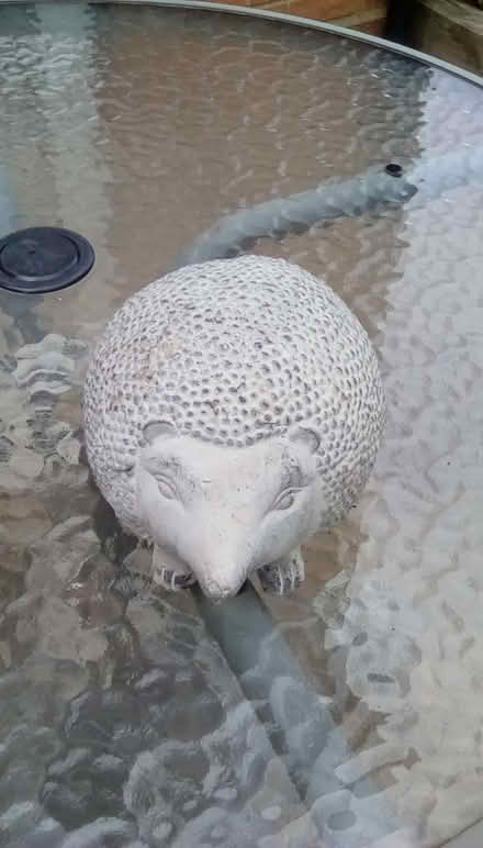 Photo of free Grey stone hedgehog garden ornament (Lower Earley RG6) #1