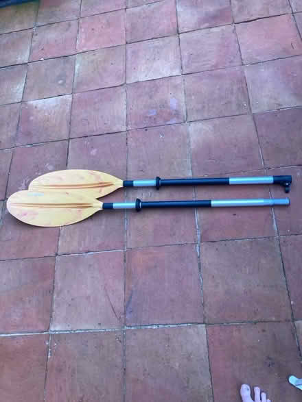 Photo of free Paddle (Central Norwich) #1