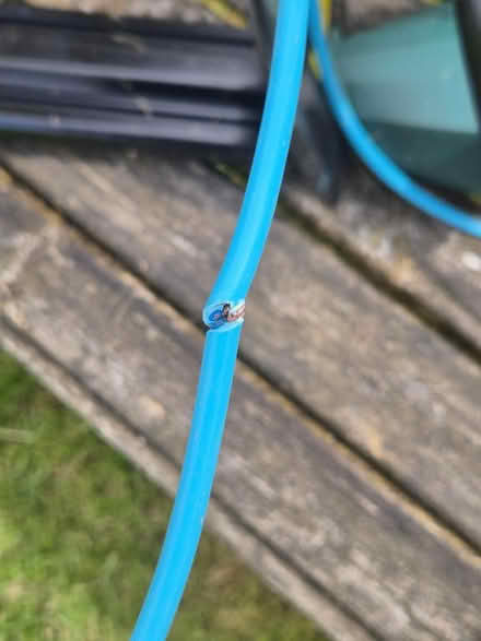Photo of free Hedge Trimmer (needs new cable) (Dunfermline KY11) #3