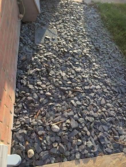 Photo of free Plum slate (BN27) #1