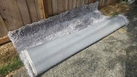 Photo of free Rug (Maple Leaf) #2