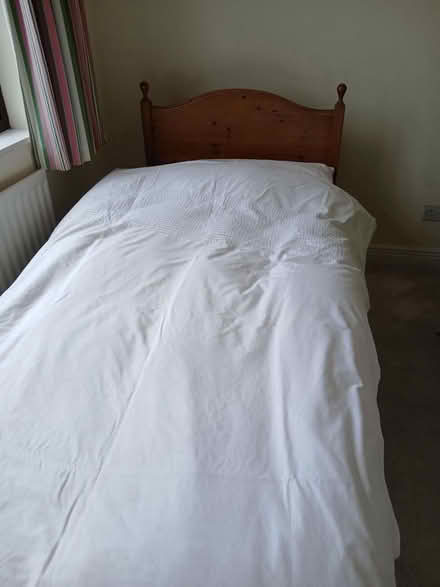 Photo of free Single Divan bed (Naas) #1