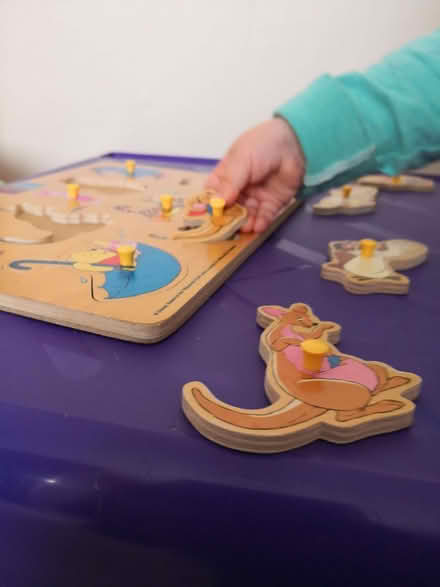 Photo of Wooden jigsaw puzzles (Burneside LA9) #1