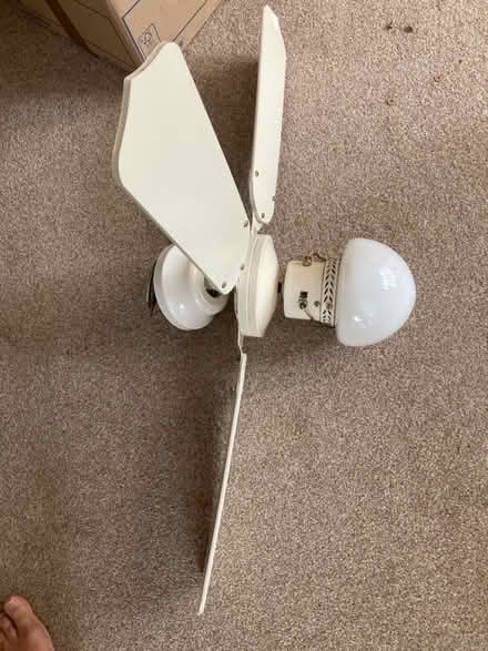 Photo of free Ceiling fan with light (South Didcot OX11) #3