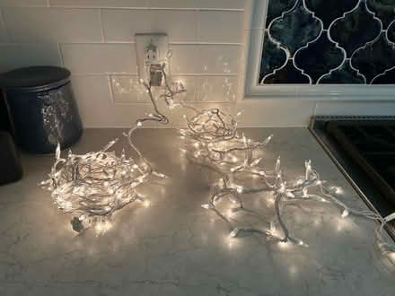 Photo of free White indoor string lights (2) (Kentlands in Gaithersburg) #1