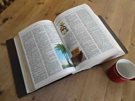 Photo of free Webster Universal Dictionary (Welwyn AL6) #4
