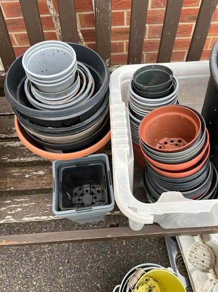 Photo of free garden pots, seedling trays (denby, DE5) #2