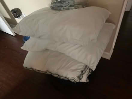 Photo of free Four standard bed pullows (Elmhurst (Rt 83 & St. Charles)) #1