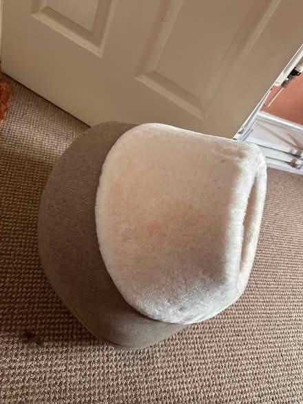 Photo of free Cat Bed (Everton L5) #2