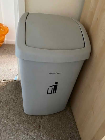 Photo of free Grey swing bin and green caddy (Windsor Quay, Cardiff CF11) #1