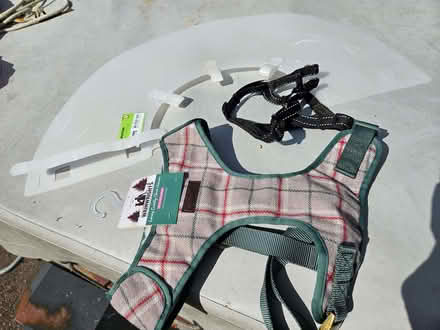 Photo of free Dog accessories (Pipehouse) #1