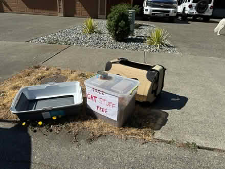 Photo of free Cat Supplies (Renton Highlands) #3