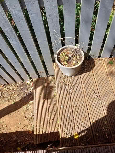 Photo of free Containers (Larkhall) #2